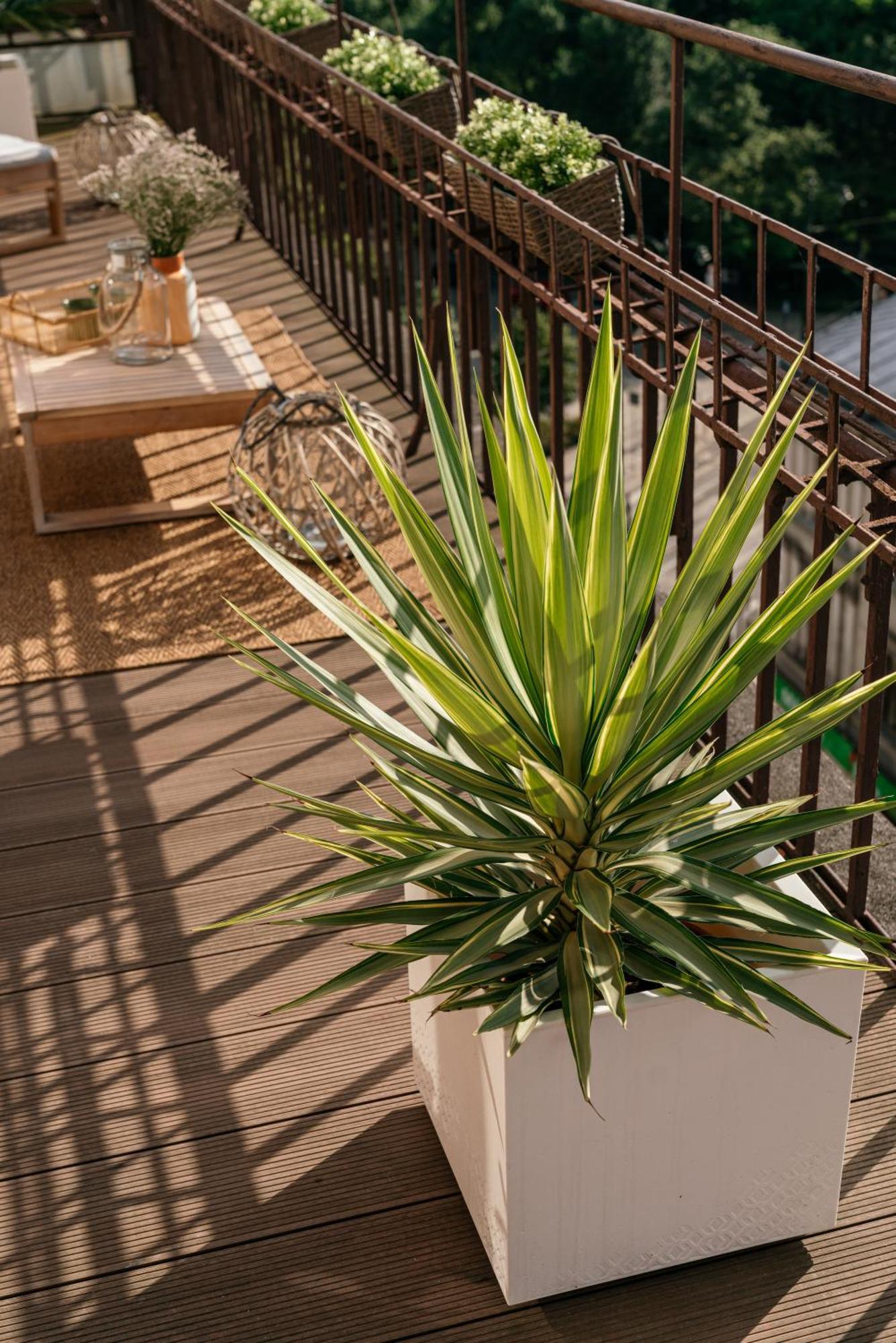 Penthouse Panorama - Loftaffair Apartment Krakow Luaran gambar